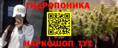 молекула духа Сланцы